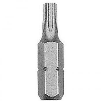 Écrou à embout Torx sécurisé 1/4 court (T30x25) – Modèle Witte 29485
