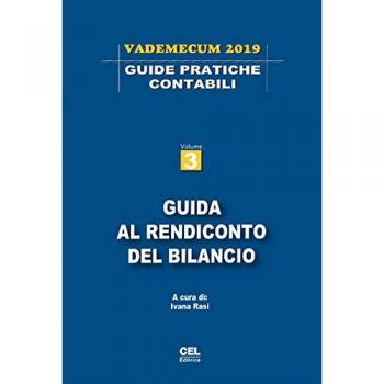 Guida al rendiconto del bilancio. Vademecum 2019. Vol. 3
