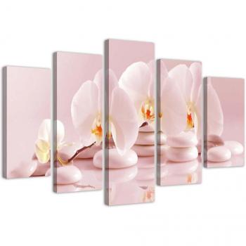 Orchid Bloom Picture Wall Art – 5 Pack