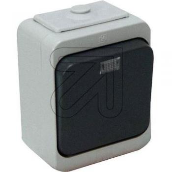 POLLMANN Taster mit Glimmlampe IP44 grau/anthrazit