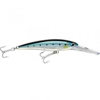 RAPALA XRMAG20 BSRD Sardine