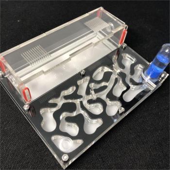 150mmx110mm Ant Farm with Moisture Chamber