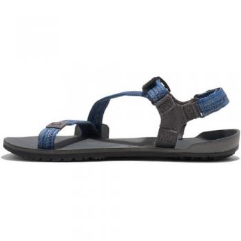 Sandalias Xero Shoes Z-Trail Azul Gris Niños