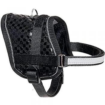 Set Collare e Guinzaglio per Cani Teeny Weeny