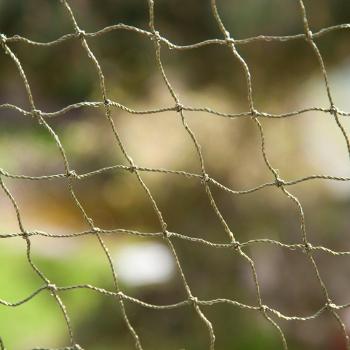 Sicherheitsnetz für Katzen mit Drahtverstärkung - 2 x 1,5 m