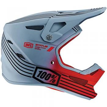 100% Status Stripes Downhill Helm für Jugendliche - Grau Silber - M