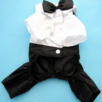 Traje elegante para cachorros