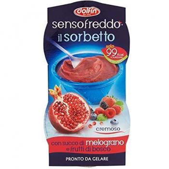 Dolfin Freddo Melograno e Frutti di Bosco Sorbetto – 200 ml (2 bottiglie)