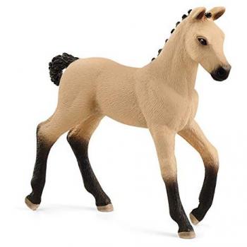Cavallo Puledro Dun Hannoveriano