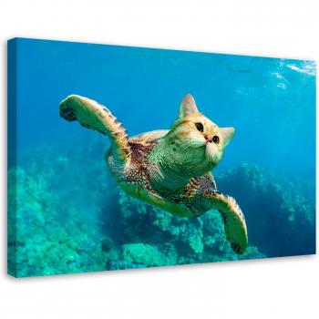 Tableau sur toile Tortue et Chat Marin 60x40