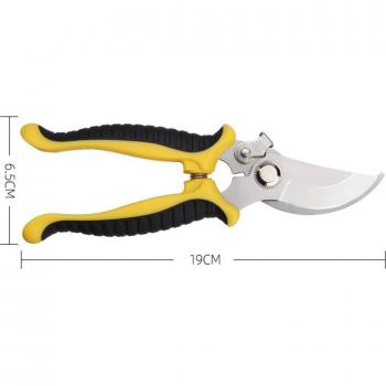 Outils de coupe pour fleurs et plantes