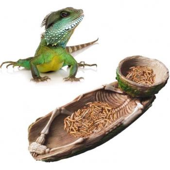 Bearded Dragon Skeleton Food Bowl
