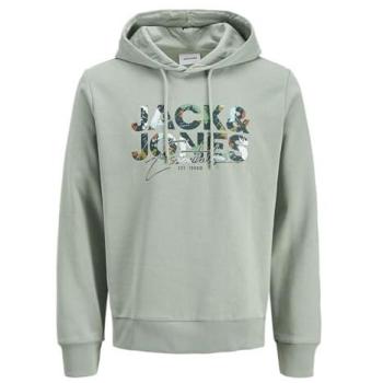 Geplas LN Hooded Sweatshirt in Iceberg Green