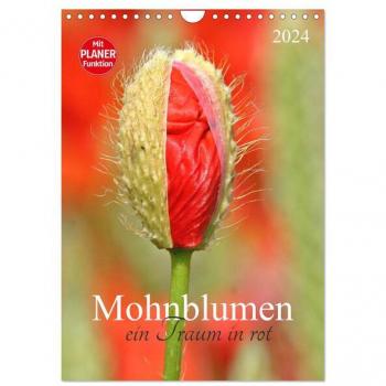 SchnelleWelten, SchnelleWelten: Mohnblumen-ein Traum in rot (Wandkalender 2024 DIN A4 hoch), CALVENDO Monatskalender