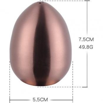 Stainless Steel Egg Shaped Spice Dispenser