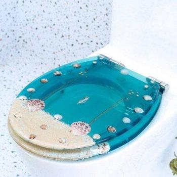 Stainless Steel Slow-Close Toilet Seat in Thick Resin