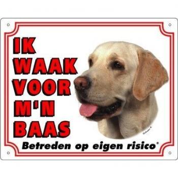 Waakbord Labrador blond - medium
