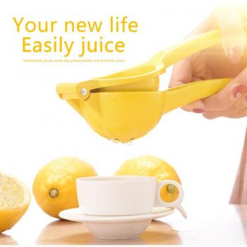 CitrusZauber