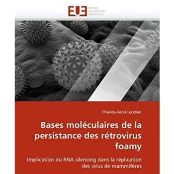 Bases moléculaires de la persistance des rétrovirus foamy: Implication du RNA silencing dans la réplication des virus de mammifères