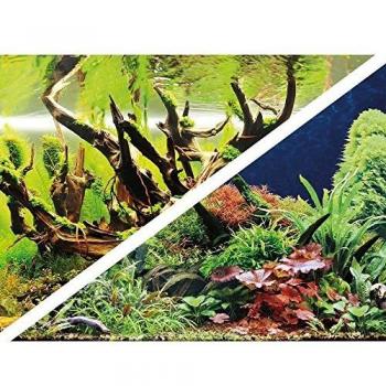 Cinta Doble Cara Wood Island