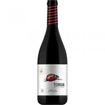 Terran de Vallobera 2017 Vino
