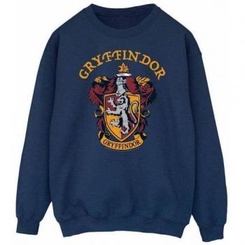 Pull Harry Potter Gryffondor Taille XXL Blanc