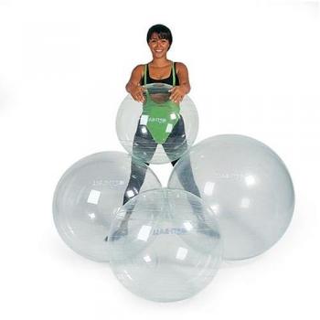 OptiBall 65 Gym Ball Trainer