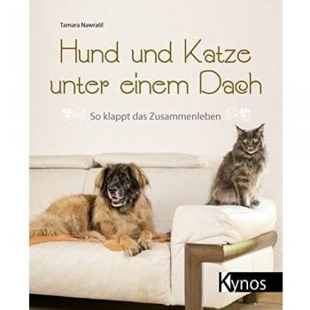 Hund und Katze unter einem Dach: So klappt das Zusammenleben - Tamara Nawratil