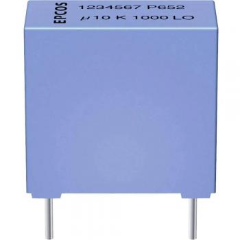 TDK B32529C0224J000 Polyester capacitor 0.22 µF 40 V AC