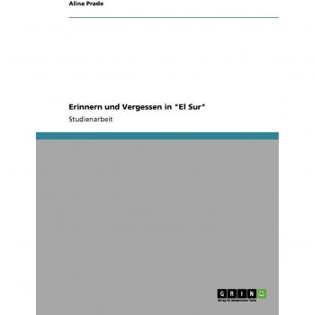 Erinnern und Vergessen in El Sur