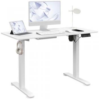 Vinsetto Electric Standing Desk