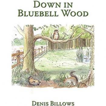 Down in bluebell wood paperback