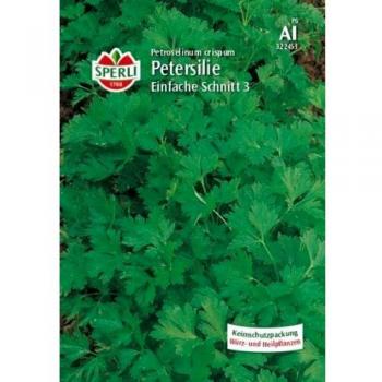 Glattblättrige Petersilie 3