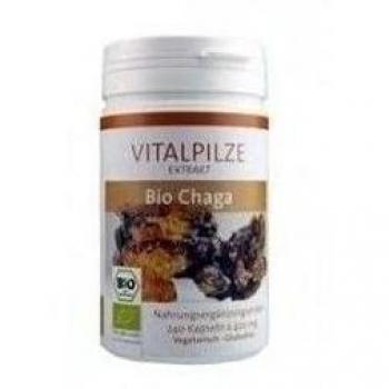 Bio Chaga (Inonotus obliquus) - 60 cápsulas - Bioener