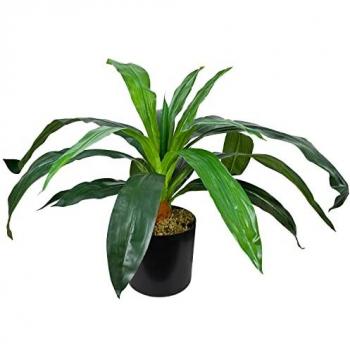 Kunstpflanze Drachenbaum mit Topf 45 cm