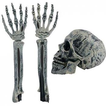 WSCOLL Creepy Skull Halloween Decor