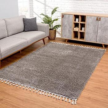 Hochflor-Teppich CARPET CITY Pulpy 100, rechteckig, 30 mm, sehr weich, uni, Fransen