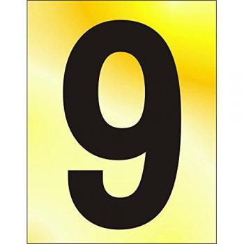 ASEC 75mm Brass Number '9' - Polished Finish