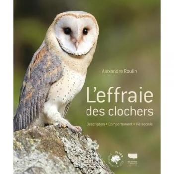 L'Effraie des clochers