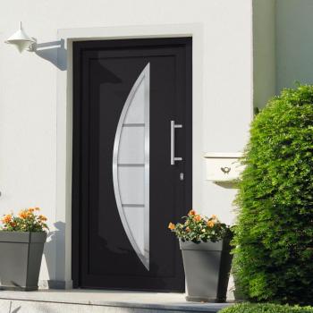 Anthracite Front Door 88x200 cm