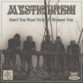Mystic Brew Don’t You Want to Stay (Vinyl)