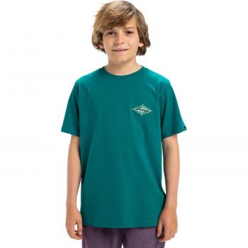 Ev Beach Blast T-Shirt Verde Quiksilver Junior