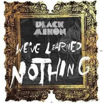 We've Learned Nothing - Álbum en 2 Vinilos