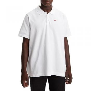 Levi's® Plus Herren T-Shirt BIG 2 PACK