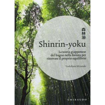Shinrin-yoku. La teoria giapponese del bagno nella foresta per ritrovare il proprio equilibrio