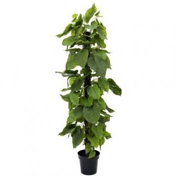 Pianta Artificiale Pothos 180 cm in Plastica Europalms
