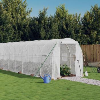 Serre en acier blanc 16 m² 8x2x2 m