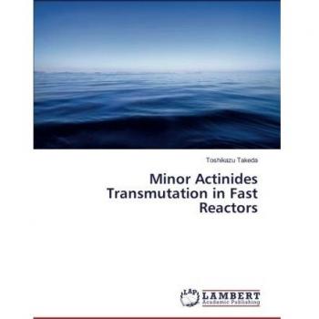 Minor Actinides Transmutation in Fast Reactors