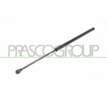 DS7109055 Maletero Shock Absorber