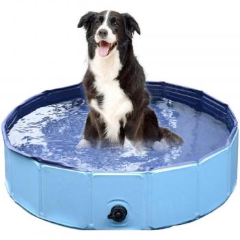 Collapsible Pet Swimming Pool 160x30cm